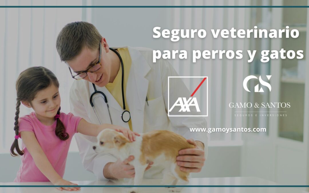 Seguro veterinario para perros y gatos. Protege su salud con la tranquilidad de estar asegurado
