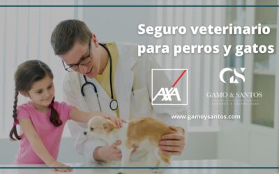 Seguro veterinario para perros y gatos. Protege su salud con la tranquilidad de estar asegurado